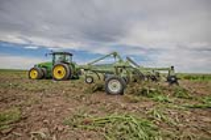 22 Fallow Master Orthman